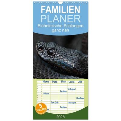 Familienplaner 2026 - Einheimische Schlangen ganz nah mit 5 Spalten (Wandkalender, 21 x 45 cm) CALVENDO