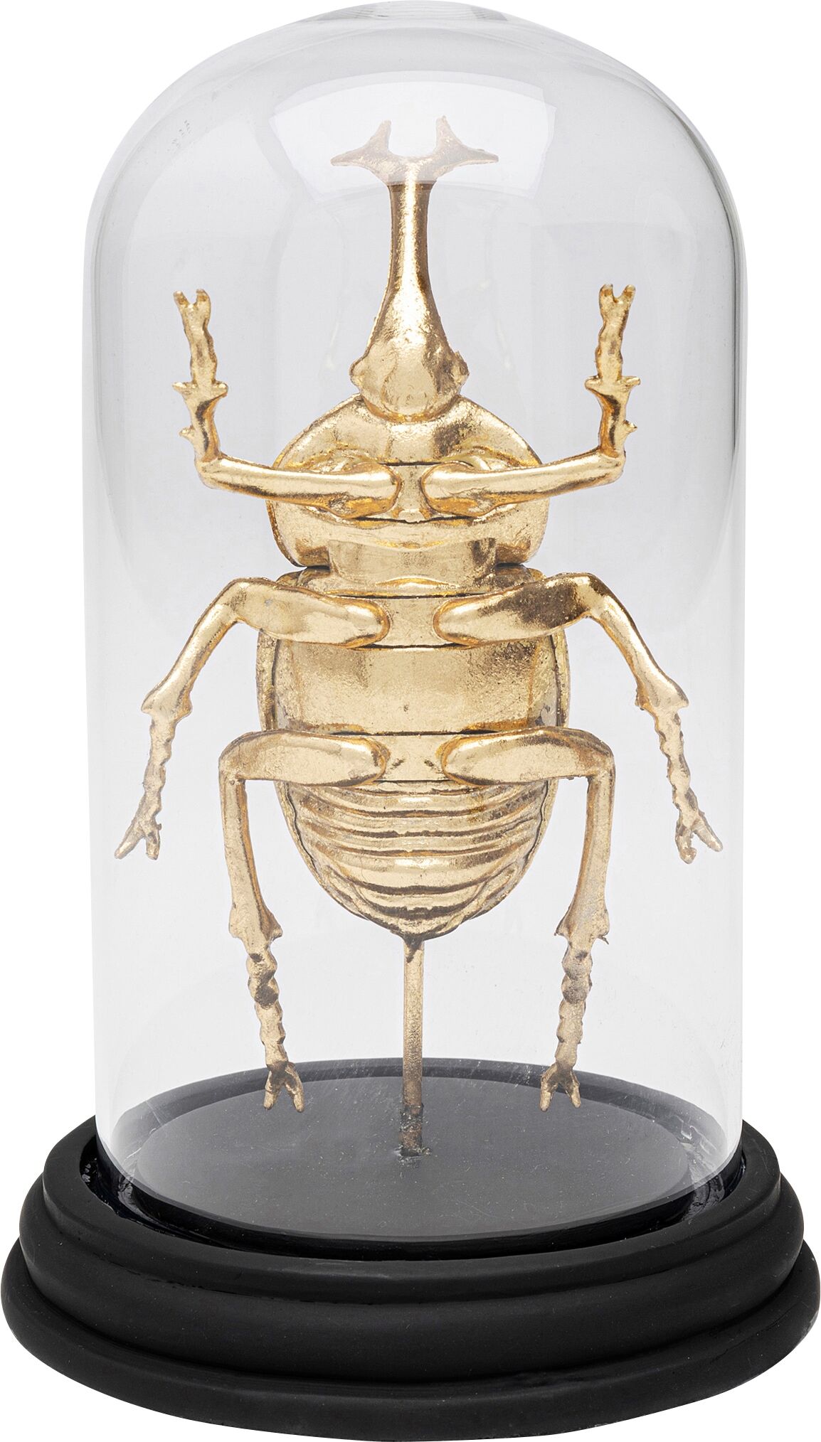 Dekoobjekt KARE DESIGN "Stag Beetle 20cm", gold, B:12,5cm H:20cm T:12,5cm, Polyresin, Dekofiguren, Dekoobjekt gold B/H/T: 12,5cm x 20cm x 12,5cm