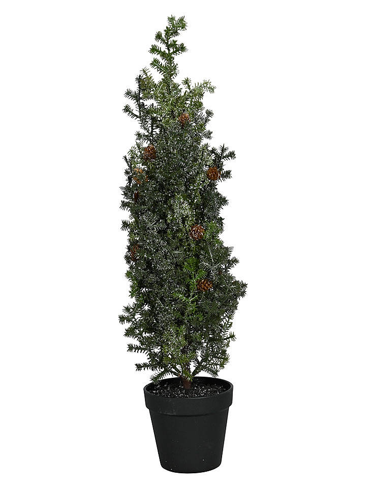 POSIWIO Dekobaum in Grün - (H)60 cm - onesize