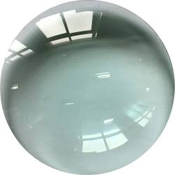 TOOLCRAFT 1595627 Ersatz Linse für Lupenleuchte ø127 mm 5 Dioptrien 2.25x Vergrößerungsfaktor=2.25 x 12.7 cm 2021 Energieeffizienzklasse n.rel