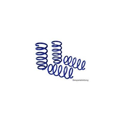 H&R Fahrwerksatz, Federn Sportfedersätze/Performance Lowering Springs 290132