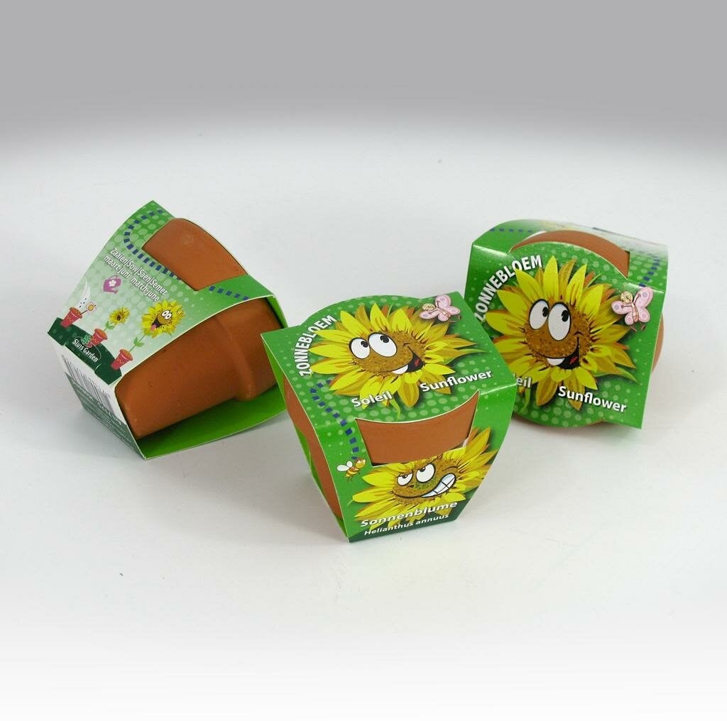 Greengift Terracotta Zonnebloem Gezicht