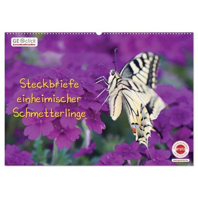 GEOclick Lernkalender: Steckbriefe einheimischer Schmetterlinge (Wandkalender 2026 DIN A2 quer), CALVENDO Monatskalender