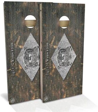 Skip's Garage Delaware Flag Vintage Outdoor Cornhole Board Set