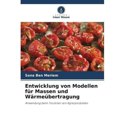 Entwicklung von Modellen für Massen und Wärmeübertragung, Taschenbuch von Sana Ben Meriem, Verlag Unser Wissen, 978-620-5-98430-7