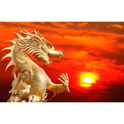 Fototapete PAPERMOON "Chinesischer Drache", bunt, B:5m L:2,8m, Vlies, Tapeten