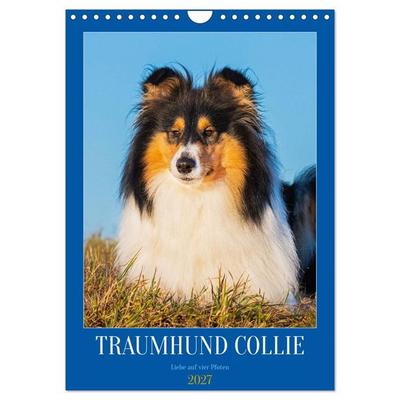 Traumhund Collie - Liebe auf vier Pfoten (Wandkalender 2027 DIN A4 hoch), CALVENDO Monatskalender