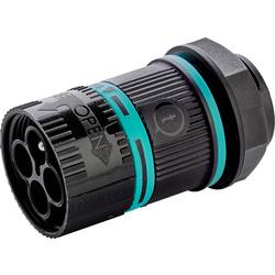 Adels-Contact 24487 Rundsteckverbinder Stecker, Einbau Gesamtpolzahl: 2 + PE 200 St.