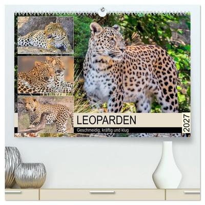 Leoparden. Geschmeidig, kräftig und klug (hochwertiger Premium Wandkalender 2027 DIN A2 quer), Kunstdruck in Hochglanz