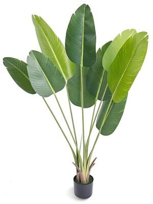 Kodotan sofa Artificial Birds Of Paradise Tree, 5 FT Tall Faux Plant, PE Material & Anti-Tip Tilt Protection Low-Maintenance Plant, Lifelike