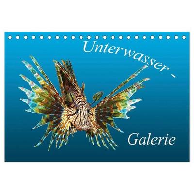 Unterwasser-Galerie (Tischkalender 2027 DIN A5 quer), CALVENDO Monatskalender