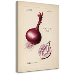 WANDBILD weinlese gemüse zwiebeln