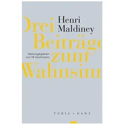 Drei Beiträge zum Wahnsinn, Fachbücher von Henri Maldiney