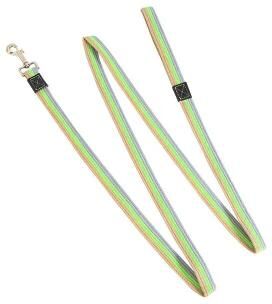 Happy Pet Pantry Non Slip Rubber Nylon Dog Leash   Training & Walking Rope 1.5cmX150cm 2