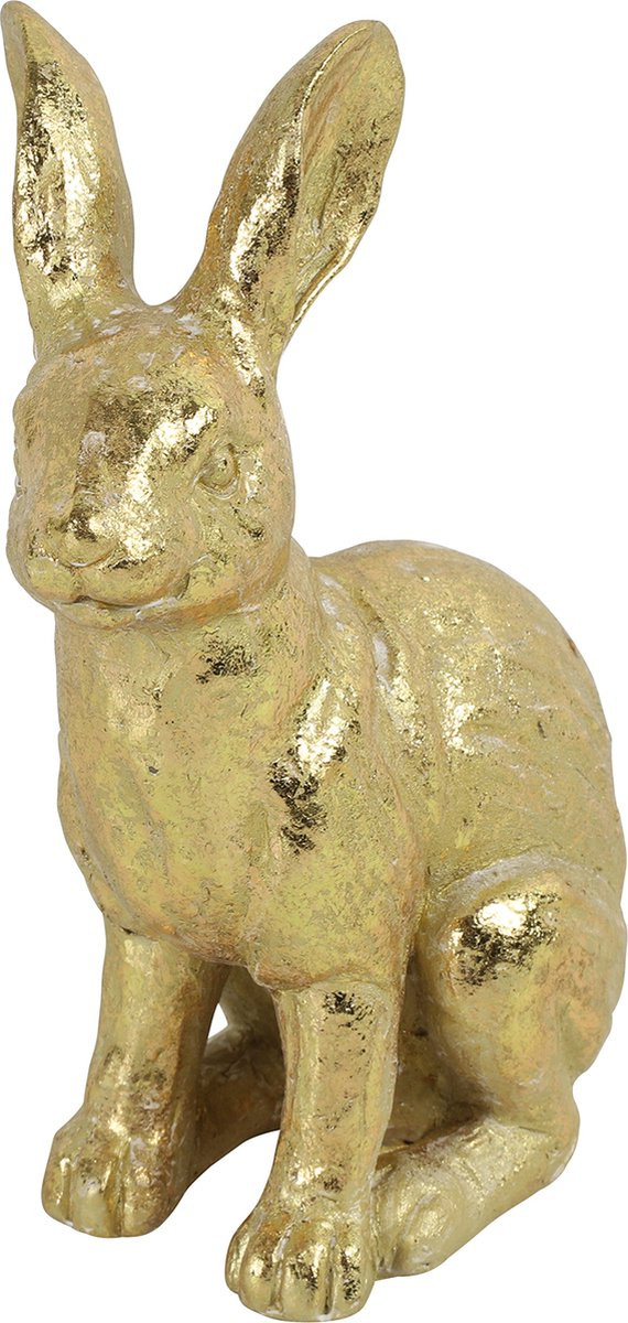 Countryfield Haas Jumpy M goud tabletop voor volwassenen