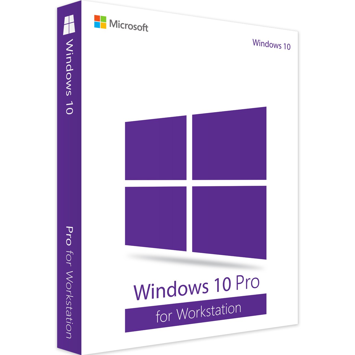 Microsoft Corporation Windows 10 Pro for Workstation, Download 100374-DE