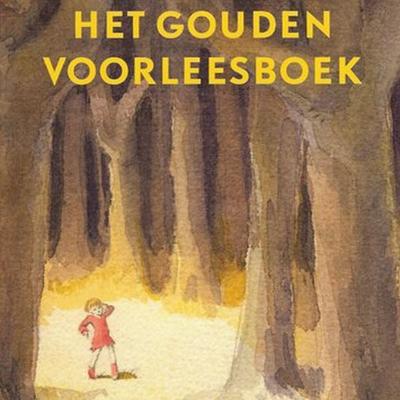 Het gouden voorleesboek - W.G. van de Hulst, Audio, 9789047608257