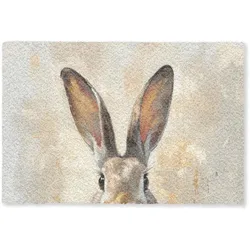 FUSSMATTE Hase - Ohren - Braun Schmutzmatte 90x60 cm