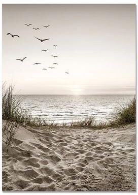 Uplift Picks Nordic Beach Canvas Wall Art Minimalist Shell Flower Prints Decor 09 40x50 Cm