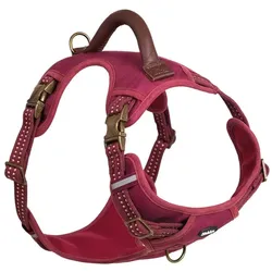 Nobby Sporty (L, Hund, Spazieren), Halsband + Leine