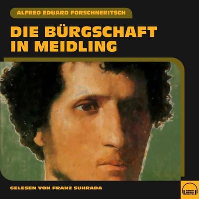 Die Bürgschaft in Meidling - Alfred Eduard Forschneritsch, Audio, 9783991554486