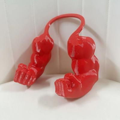 Uplift Picks Cat Muscle Arm Pendant Pet Cat Fist Necklace Toy For Show Cats And Collectors red