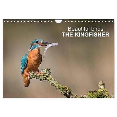 Beautiful birds THE KINGFISHER (Wall Calendar 2027 DIN A4 landscape), CALVENDO 12 Month Wall Calendar
