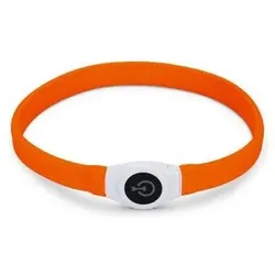 Beeztees Bz Sg Hbd+Usb Glowy Orange 65x (Hund, Allgemein), Halsband + Leine