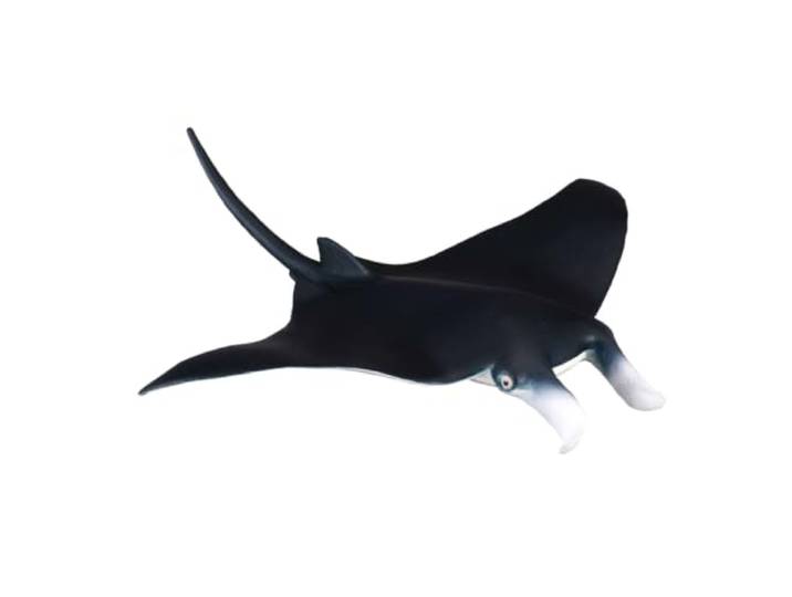 Collecta 3388040 figuur zeedieren Manta