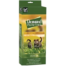 Sombo DiamantBild HundKatze