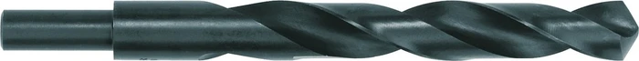 Milwaukee Broca HSS Eje Reducido 19.0x198 (24363285)