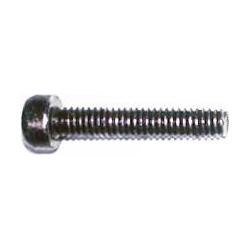 Amewi Hexagon head screw cup M2.5x12 DUNE Buggy 1:10 (39883526)