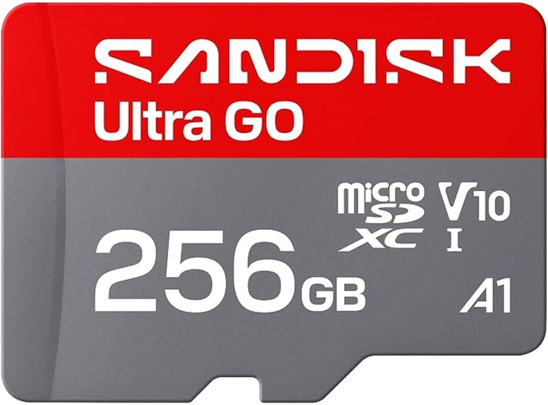 SanDisk Tarjeta de memoria MicroSDXC Ultra GO 256GB.