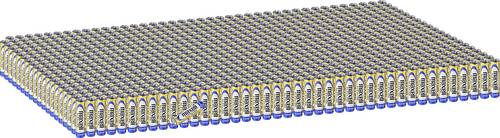 Maxell LR03AAA Micro (AAA)-Batterie Alkali-Mangan 1250 mAh 1.5V 800St.