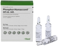 Biologische Heilmittel Heel GmbH PHOSPHOR HOMACCORD ad us.vet.Ampullen 5 St 02585097