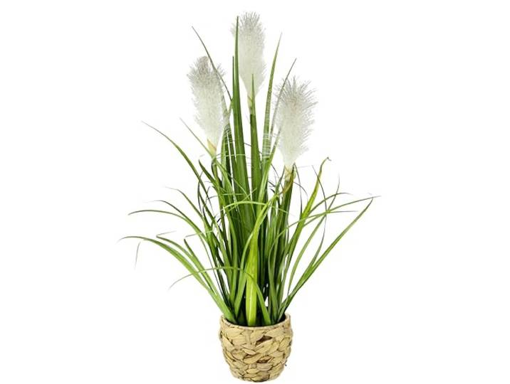 Flair Flower Pampas Gras im Topf Feder Ufergras Seidenblume Grasbusch Dekogras Gräser Kunstpflanze Pflanze Solitärgras Ziergras Dekopflanze Blume Kunstgras Grünpflanze, Weiß, 55 cm, 044558W