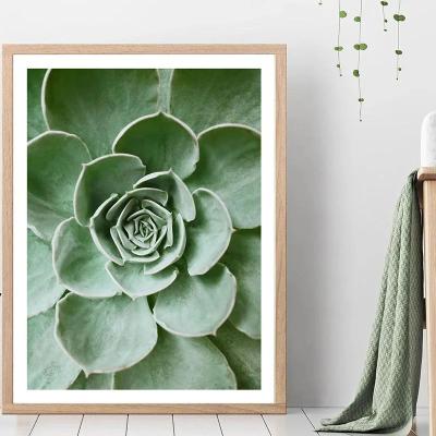 Uplifted Finds Botanical Green Houseplant Canvas Art   Calming Nature Indoors Interior Print 16 30 X 40 Cm