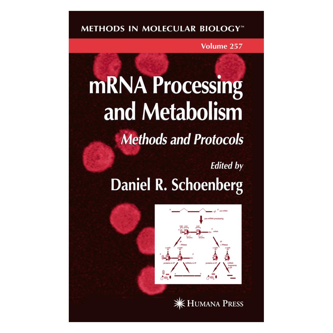 Springer mRNA Processing and Metabolism (Englisch, Softcover, Daniel R. Schoenberg) (55383079)