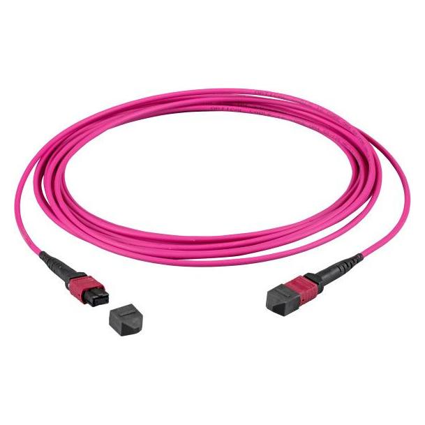 EFB Elektronik MTP-F/MTP-F 36-Fasermatrix Patchkabel OM4 LSZH erika-violett, Code A, 15m (15 m) (MTPF36MTPFOM4-15-A)