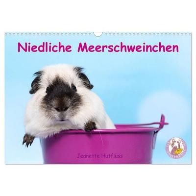 Niedliche Meerschweinchen (Wandkalender 2027 DIN A3 quer), CALVENDO Monatskalender