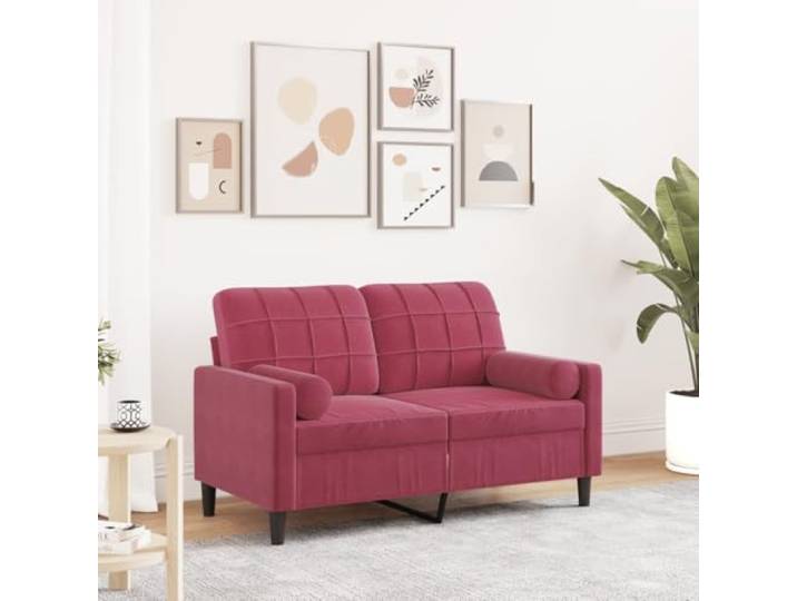HEFZGDB Weinrotes 2-Sitzer-Sofa 120 cm Samt mit Zierkissen, Bequemes Sitzmöbel für Wohnzimmer mit Abnehmbaren Kissenbezügen, Robustes Metallgestell und Weiche Polsterung