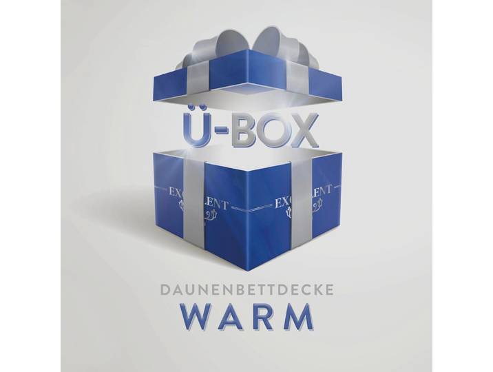 Daunenbettdecke EXCELLENT Überraschungsbox , bunt, B:135cm L:200cm, Bezug: 100% Baumwolle. Füllung: 90% Daunen, 10% Federn, Bettdecken, Daunenbettdecke, absoluter Sonderpreis, wegen Lagerräumung, Solange der Vorrat reicht
