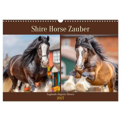 Shire Horse Zauber. Englands elegante Riesen (Wandkalender 2027 DIN A3 quer), CALVENDO Monatskalender