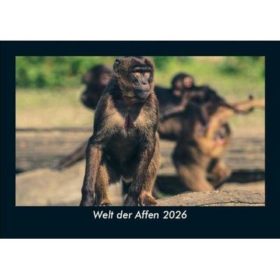 Welt der Affen 2026 Fotokalender DIN A5