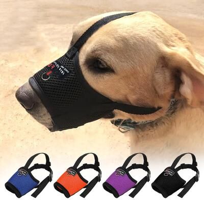 Pet Hub Adjustable Mesh Nylon Dog Muzzle Small To Large Breathable Anti Bark Puppy Mouth Cover XL orange