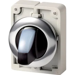 Eaton Leuchtwahltaste RMQ-Titan M30C-FWRLK-W