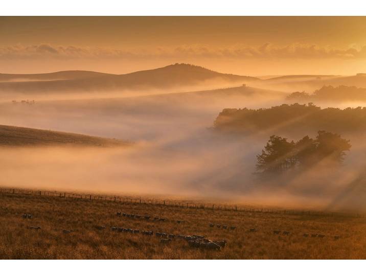 Papermoon Nebel in Landschaft