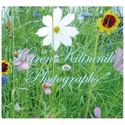 Photographs, Fachbücher von Karen Kilimnik