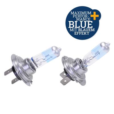 FILMER Glühlampe Halogenlampen H7 Blue Light Maximum Performance 16070