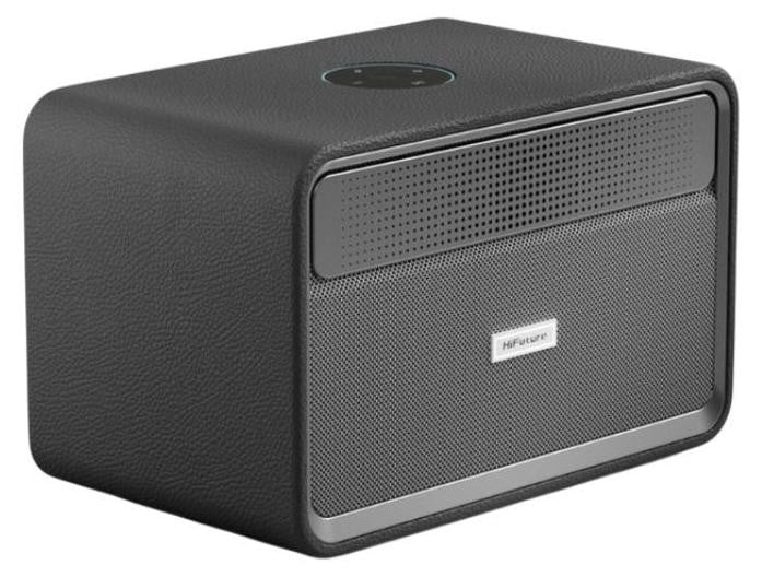 HiFuture Passion X draagbare speaker - zwart